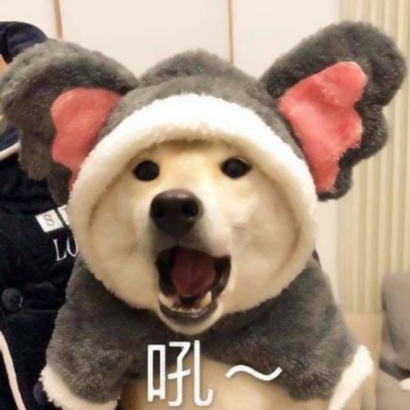 超萌二货狗狗头像图片：傻气满满又治愈