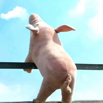 魔性头像图片大全：搞怪吸睛款 + 沙雕趣味款，免费下载不重样