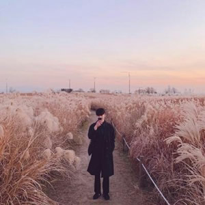 2026小清新情侣头像一男一女 温柔治愈风 ins风百搭款