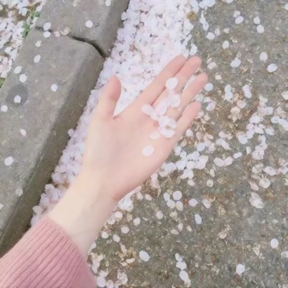 超全手元素微信头像合集!温柔 / 简约 / 个性款任你选