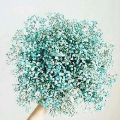 微信头像必备：满天星图片，彰显独特品味