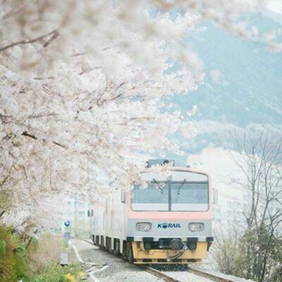 静物与风景碰撞！超唯美头像合集，小众不撞款