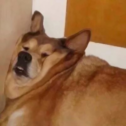 2026最潮最火情侣头像搞笑图片合集