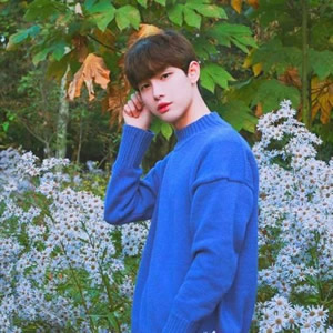 文艺清新男生微信头像｜温柔系画风，传递治愈情绪