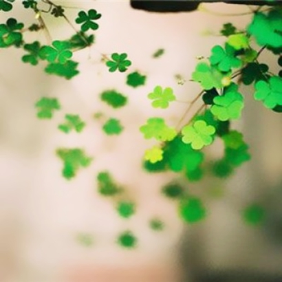 2026最新微信唯美图片头像：仙气、简约、ins风全都有