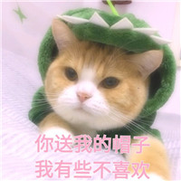 可爱猫带字头像 动物头像 第11张