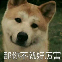 狗狗很逗头像带字 动物头像 第3张