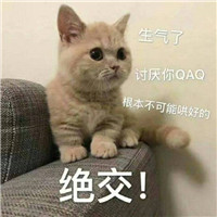 可爱猫带字头像 动物头像 第17张