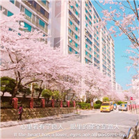 城市风景头像带字唯美 风景头像 第14张