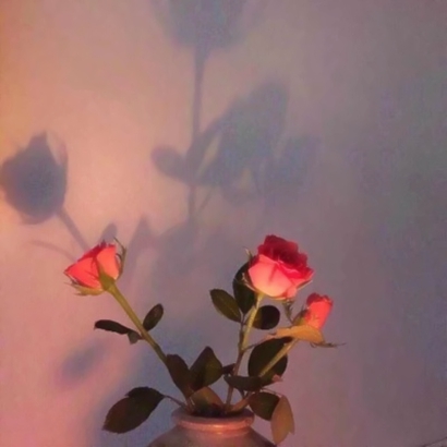 微信玫瑰花头像 其它头像 第2张
