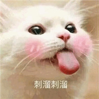 可爱猫带字头像 动物头像 第18张