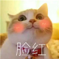 可爱猫带字头像 动物头像 第6张