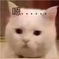 可爱猫带字头像 动物头像 第9张