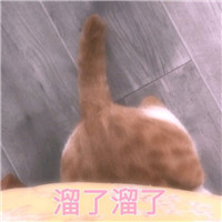 可爱猫带字头像 动物头像 第12张