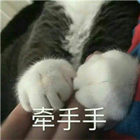 可爱猫带字头像 动物头像 第7张