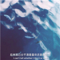 城市风景头像带字唯美 风景头像 第13张