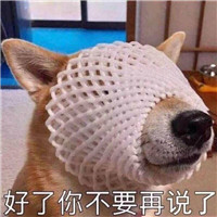 狗狗很逗头像带字 动物头像 第15张