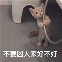 可爱猫带字头像 动物头像 第4张