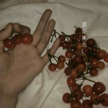 唯美的静物背景微信头像图片大全 其它头像 第7张