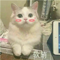 可爱猫带字头像 动物头像 第8张