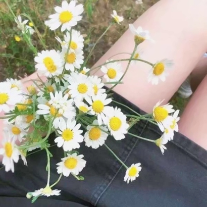 清晰的照片女生头像 女生头像 第25张