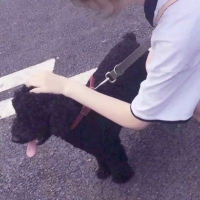 对象不是人情侣头像 可爱又好玩 情侣头像 第8张 对象不是人情侣头像 可爱又好玩 情侣头像 第8张
