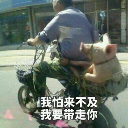 趣味沙雕头像 其它头像 第17张