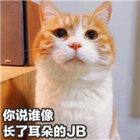 可爱猫带字头像 动物头像 第14张
