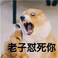 狗狗很逗头像带字