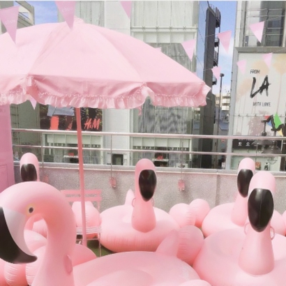 粉色系风景静物头像图片 风景头像 第9张