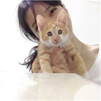 女生抱猫咪的慵懒头像 女生头像 第7张