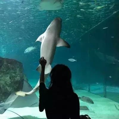 真人情侣头像一男一女两张 情侣头像 第9张