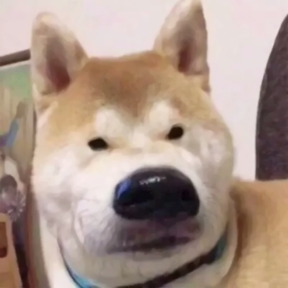 萌宠情侣头像一对两张