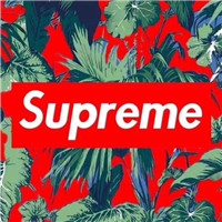 supreme图片头像 其它头像 第2张