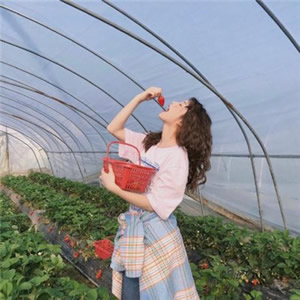 微信头像小清新女生 女生头像 第8张