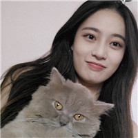女生抱猫咪的慵懒头像 女生头像 第13张