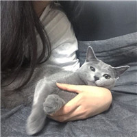 女生抱猫咪的慵懒头像 女生头像 第14张