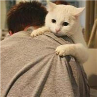 抱猫不露脸男生头像 男生头像 第11张