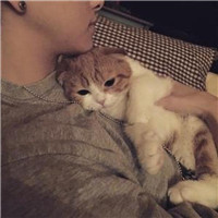 抱猫不露脸男生头像 男生头像 第13张