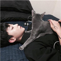 抱猫不露脸男生头像 男生头像 第18张