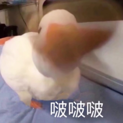 微信图片头像搞笑 其它头像 第15张