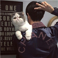 抱猫不露脸男生头像 男生头像 第7张