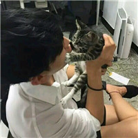 抱猫不露脸男生头像 男生头像 第5张