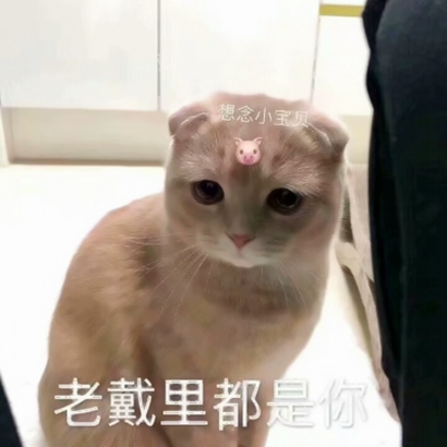 超沙雕头像抖音 其它头像 第10张
