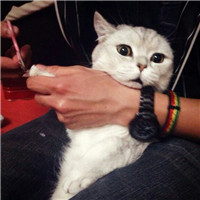 抱猫不露脸男生头像 男生头像 第12张