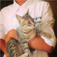 抱猫不露脸男生头像 男生头像 第14张