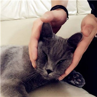 抱猫不露脸男生头像 男生头像 第15张