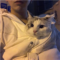 抱猫不露脸男生头像 男生头像 第2张
