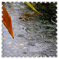 雨滴头像大全唯美 其它头像 第31张