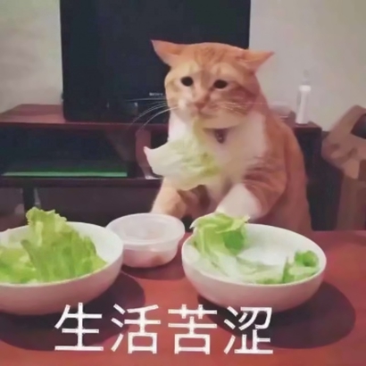 网络搞笑沙雕头像 其它头像 第8张